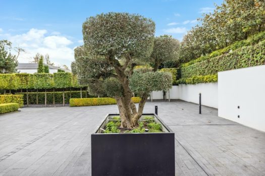 House for sale , St-Prex