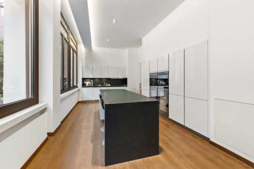 Exceptional Renovated Loft in the Heart of Geneva City Center